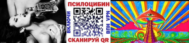 закладка  Прохладный  Псилоцибиновые грибы прущие грибы 